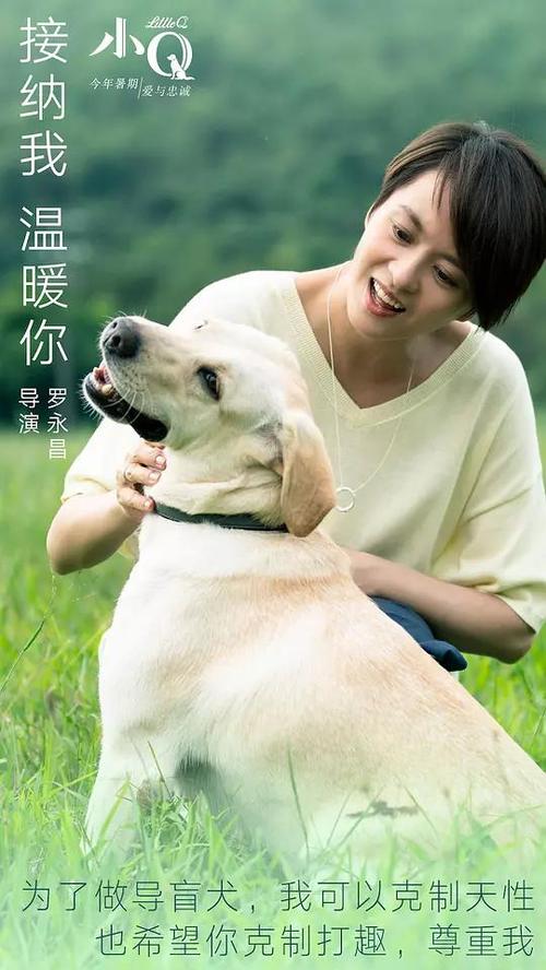 怎么购买康卡斯特账单